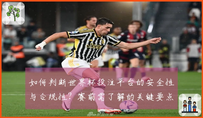 如何判断世界杯投注平台的安全性与合规性？赛前需了解的关键要点