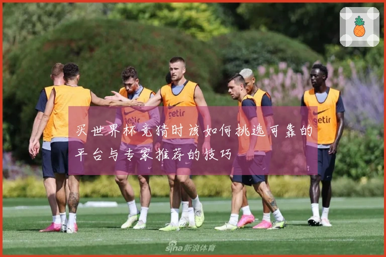 买世界杯竞猜时该如何挑选可靠的平台与专家推荐的技巧
