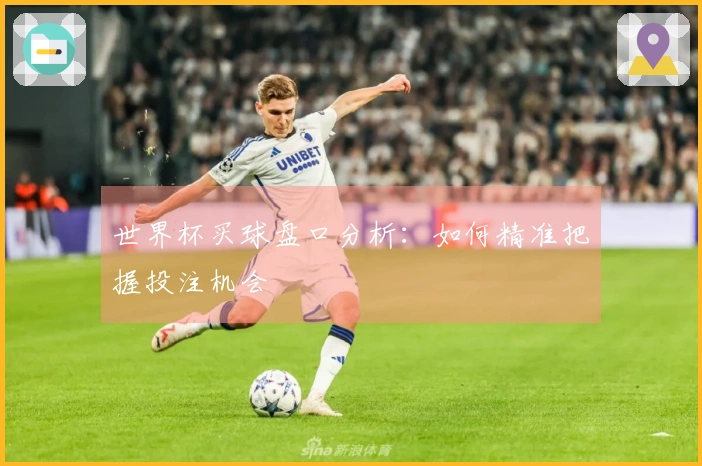 世界杯买球盘口分析：如何精准把握投注机会