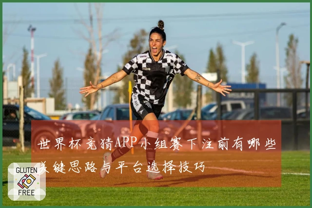 世界杯竞猜APP小组赛下注前有哪些关键思路与平台选择技巧