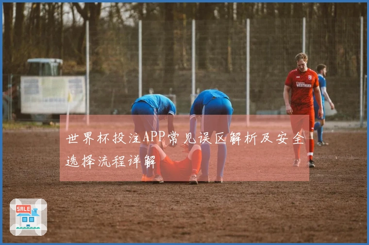 世界杯投注APP常见误区解析及安全选择流程详解