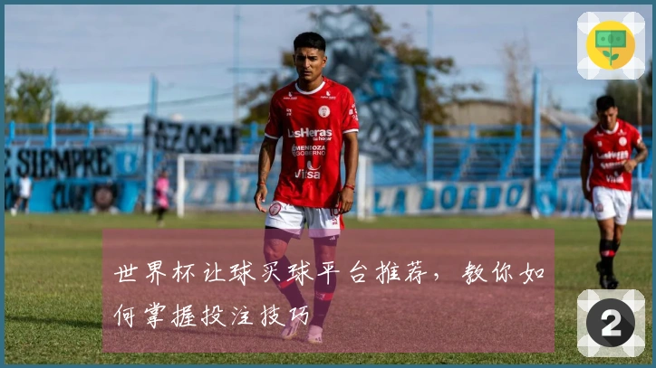 世界杯让球买球平台推荐，教你如何掌握投注技巧