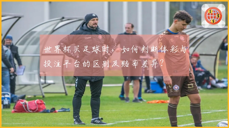 世界杯买足球时，如何判断体彩与投注平台的区别及赔率差异？