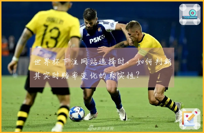 世界杯下注网站选择时，如何判断其实时赔率变化的真实性？