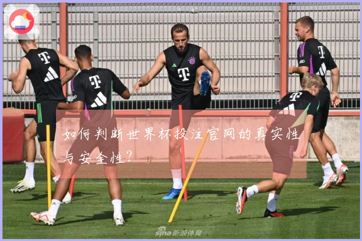 如何判断世界杯投注官网的真实性与安全性？
