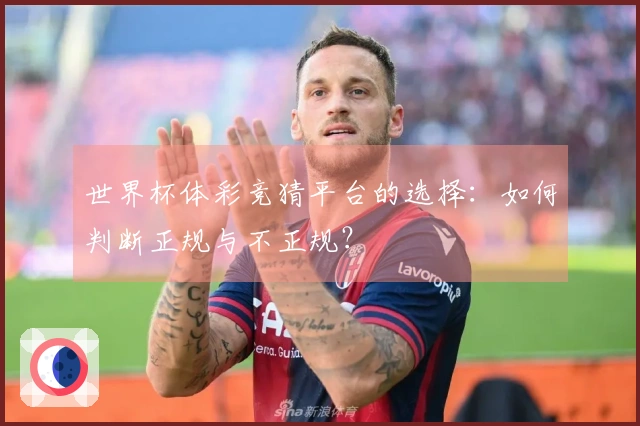 世界杯体彩竞猜平台的选择：如何判断正规与不正规？