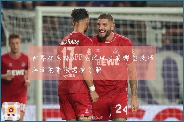世界杯买球APP竞猜玩法有哪些技巧和注意事项需要了解