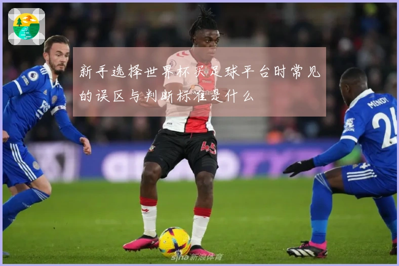 新手选择世界杯买足球平台时常见的误区与判断标准是什么