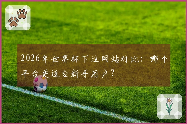2026年世界杯下注网站对比：哪个平台更适合新手用户？