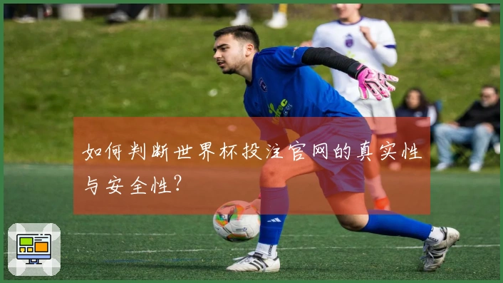 如何判断世界杯投注官网的真实性与安全性？